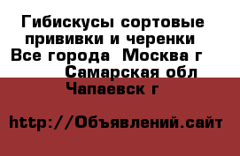 Гибискусы сортовые, прививки и черенки - Все города, Москва г.  »    . Самарская обл.,Чапаевск г.